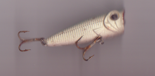 f:id:puchitenshi:20110325000742j:image f:id:puchitenshi:20110325000742j:image