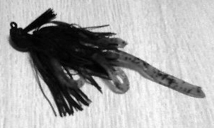 f:id:puchitenshi:20110408143627j:image f:id:puchitenshi:20110408143627j:image