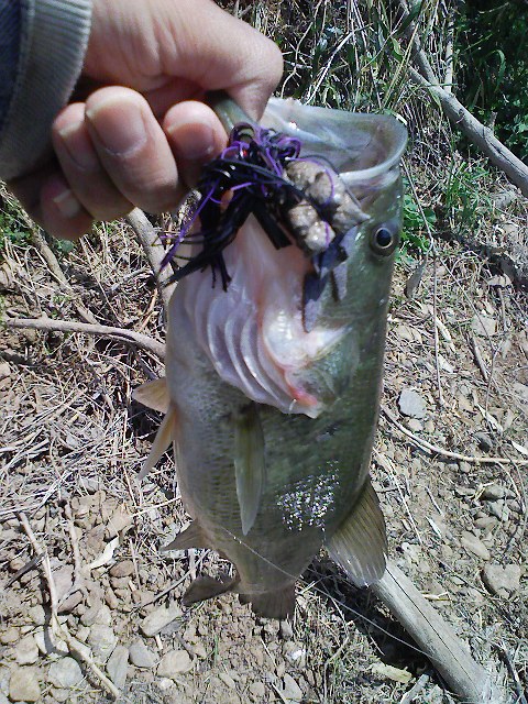 f:id:puchitenshi:20110413235502j:image f:id:puchitenshi:20110413235502j:image