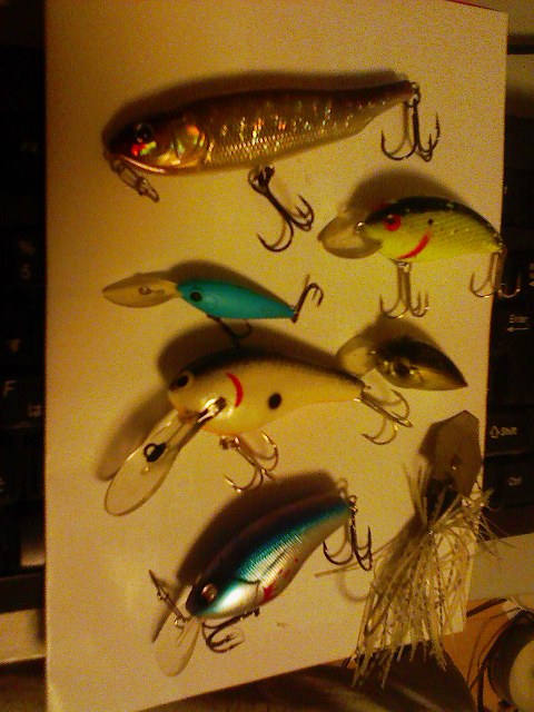 f:id:puchitenshi:20110606024947j:image f:id:puchitenshi:20110606024947j:image