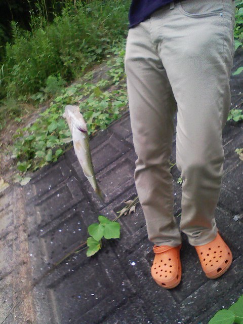 f:id:puchitenshi:20110704010319j:image f:id:puchitenshi:20110704010319j:image