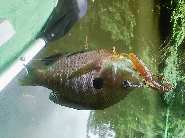 f:id:puchitenshi:20110707225929j:image