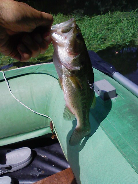 f:id:puchitenshi:20110710222556j:image f:id:puchitenshi:20110710222556j:image