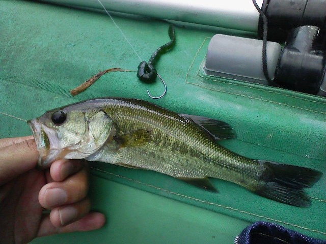 f:id:puchitenshi:20110710222619j:image f:id:puchitenshi:20110710222619j:image