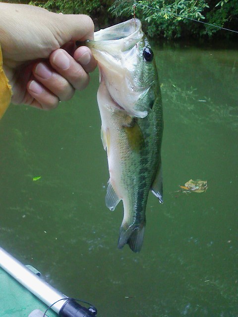 f:id:puchitenshi:20110715001848j:image f:id:puchitenshi:20110715001848j:image