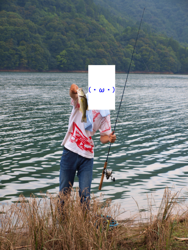 f:id:puchitenshi:20110803122441j:image