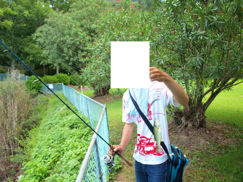 f:id:puchitenshi:20110803124827j:image