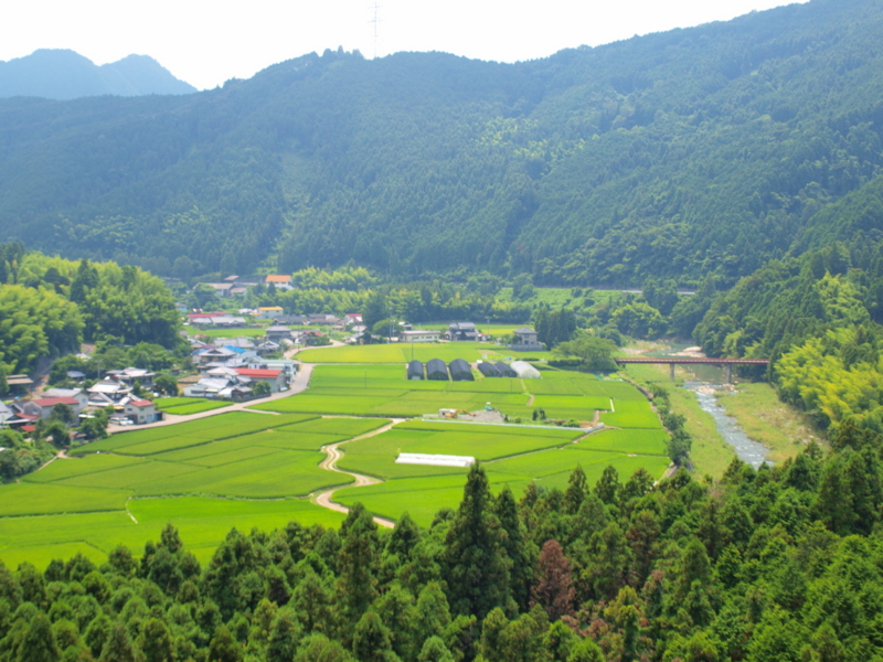 f:id:puchitenshi:20110803130306j:image