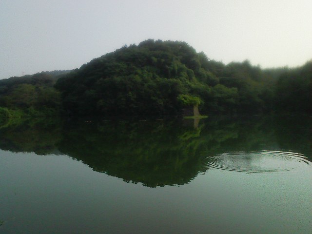 f:id:puchitenshi:20110823001513j:image f:id:puchitenshi:20110823001513j:image