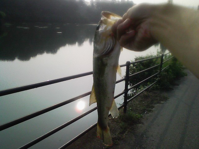 f:id:puchitenshi:20110823001611j:image f:id:puchitenshi:20110823001611j:image