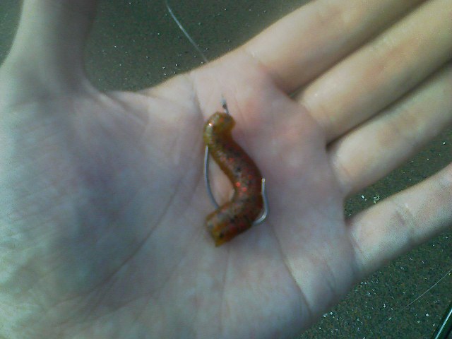 f:id:puchitenshi:20110823001644j:image f:id:puchitenshi:20110823001644j:image