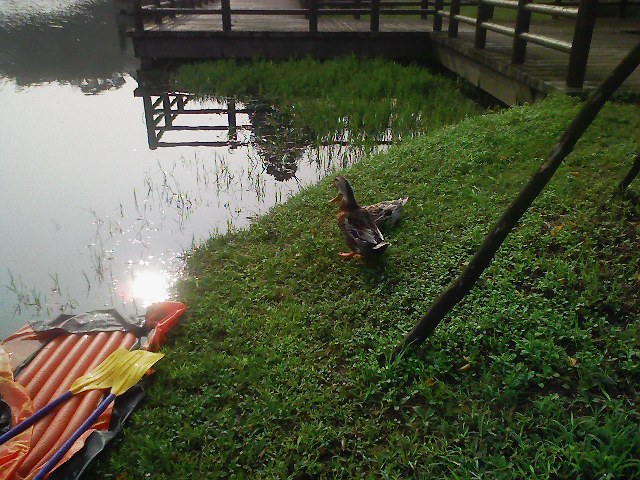 f:id:puchitenshi:20110823001728j:image f:id:puchitenshi:20110823001728j:image