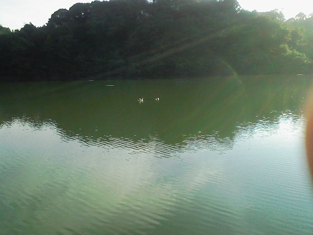 f:id:puchitenshi:20110825230949j:image