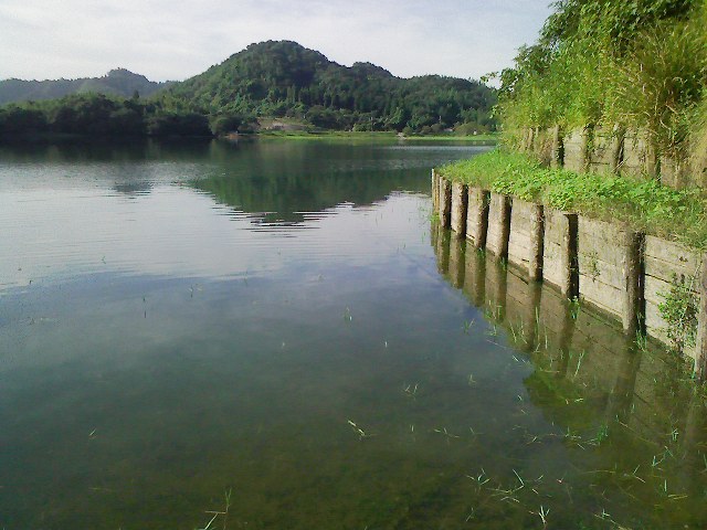 f:id:puchitenshi:20110825231256j:image