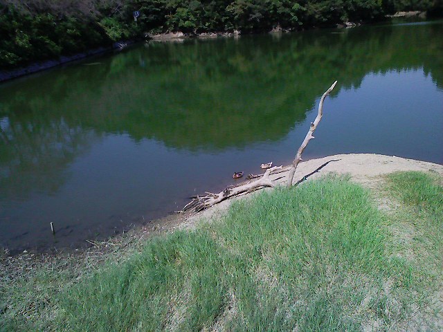 f:id:puchitenshi:20110915001326j:image f:id:puchitenshi:20110915001326j:image