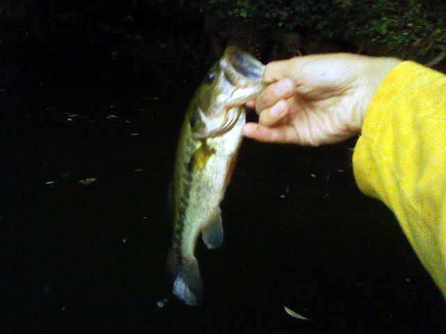 f:id:puchitenshi:20110915230913j:image