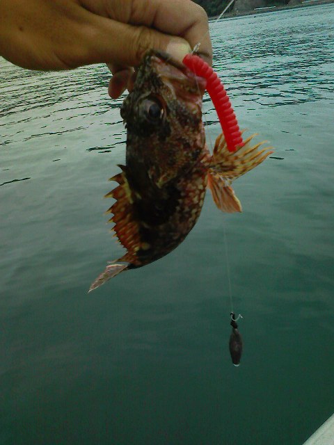 f:id:puchitenshi:20111003000831j:image f:id:puchitenshi:20111003000831j:image