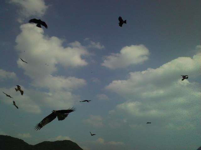 f:id:puchitenshi:20111017094654j:image