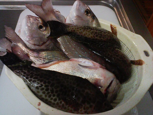 f:id:puchitenshi:20111017094728j:image