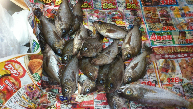 f:id:puchitenshi:20111125094302j:image