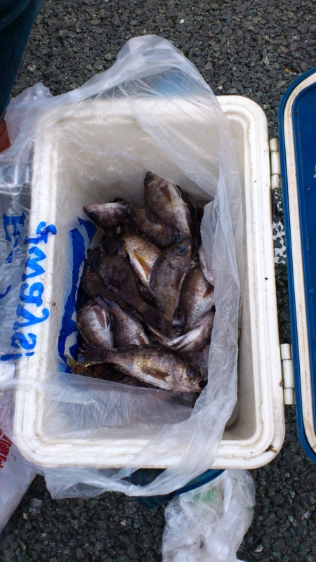 f:id:puchitenshi:20111129092113j:image