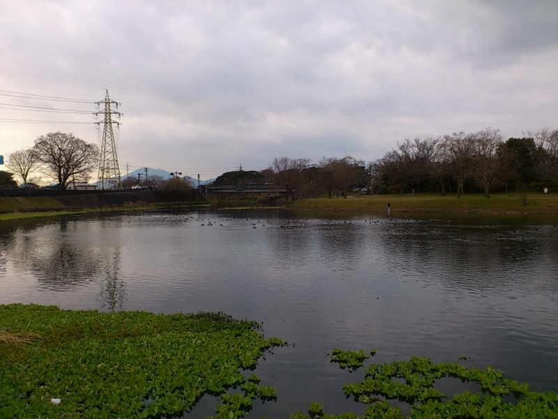 f:id:puchitenshi:20120102153947j:image