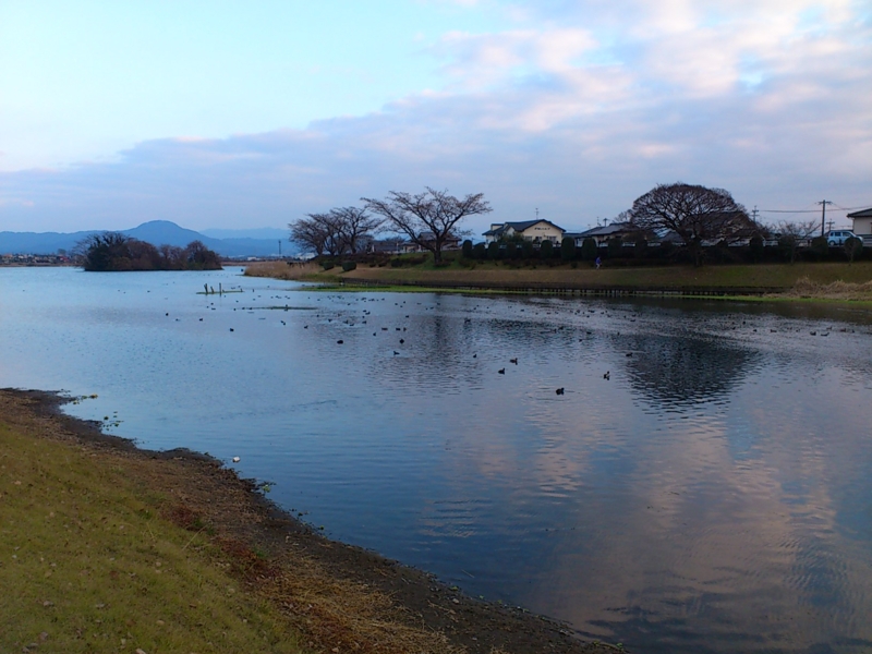 f:id:puchitenshi:20120102163526j:image