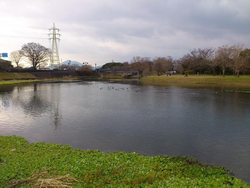 f:id:puchitenshi:20120102234549j:image