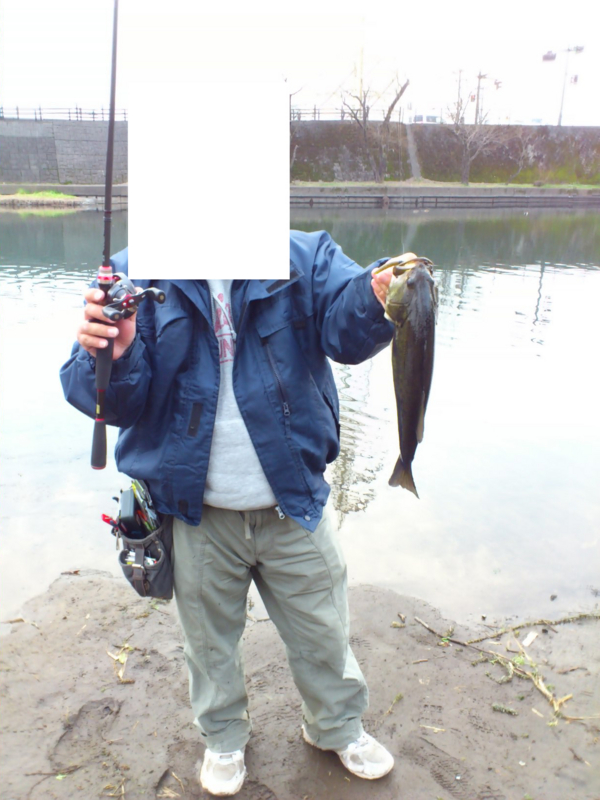 f:id:puchitenshi:20120225021049j:image