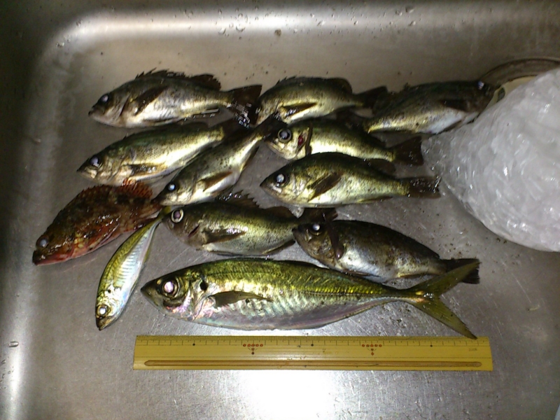 f:id:puchitenshi:20120228140848j:image f:id:puchitenshi:20120228140848j:image