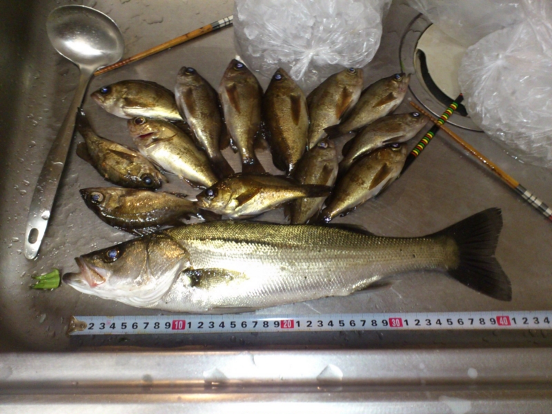 f:id:puchitenshi:20120319232334j:image f:id:puchitenshi:20120319232334j:image