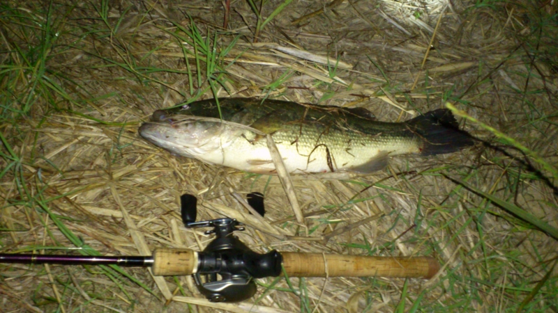 f:id:puchitenshi:20120519122058j:image