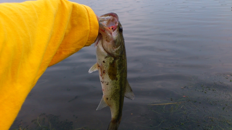 f:id:puchitenshi:20120606183021j:image