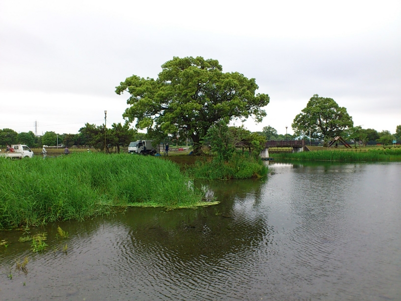 f:id:puchitenshi:20120608161208j:image f:id:puchitenshi:20120608161208j:image