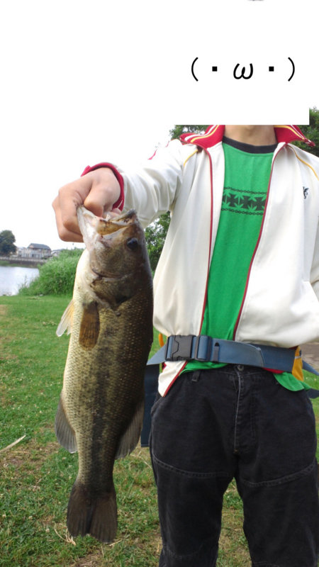 f:id:puchitenshi:20120609011408j:image f:id:puchitenshi:20120609011408j:image