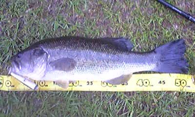 f:id:puchitenshi:20120609011534j:image f:id:puchitenshi:20120609011534j:image