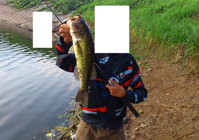 f:id:puchitenshi:20120610232318j:image