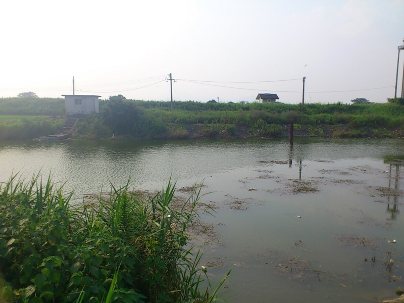 f:id:puchitenshi:20120725161344j:image f:id:puchitenshi:20120725161344j:image