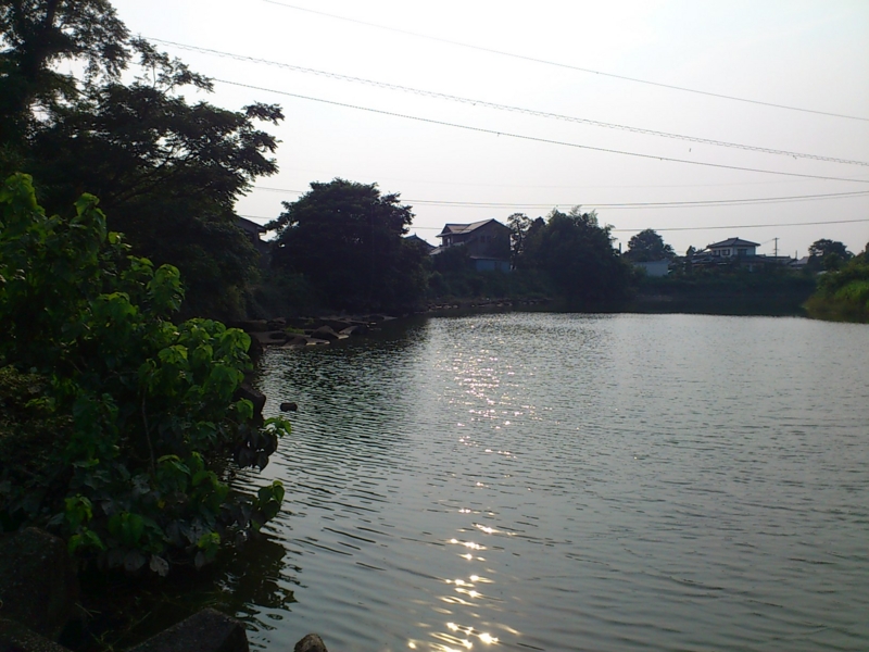 f:id:puchitenshi:20120725164416j:image f:id:puchitenshi:20120725164416j:image