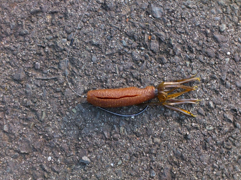 f:id:puchitenshi:20120725173414j:image f:id:puchitenshi:20120725173414j:image