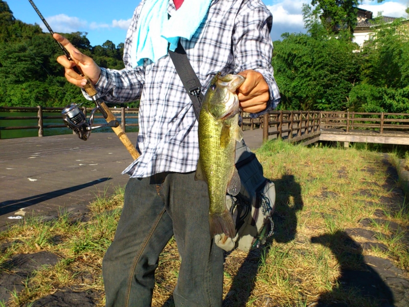 f:id:puchitenshi:20120803173710j:image f:id:puchitenshi:20120803173710j:image