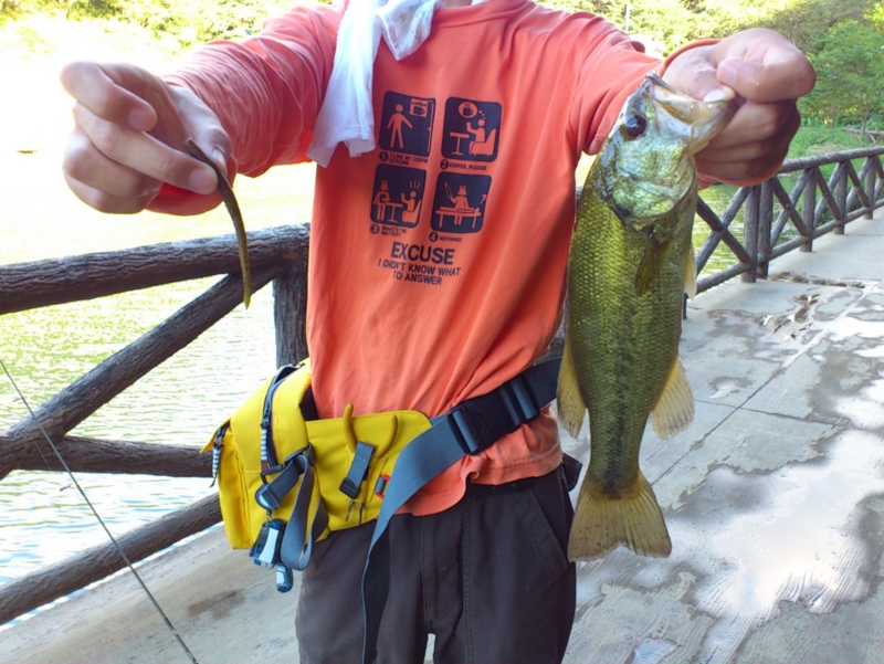 f:id:puchitenshi:20120803235358j:image f:id:puchitenshi:20120803235358j:image