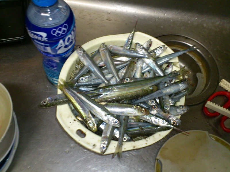 f:id:puchitenshi:20120818182521j:image f:id:puchitenshi:20120818182521j:image