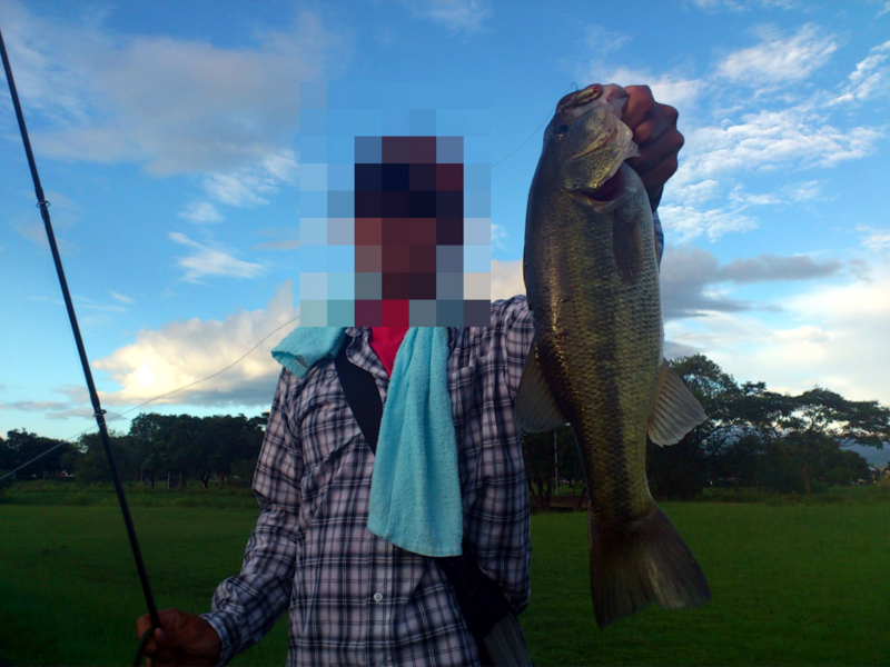 f:id:puchitenshi:20120821003010j:image