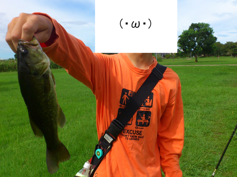 f:id:puchitenshi:20120821233713j:image f:id:puchitenshi:20120821233713j:image