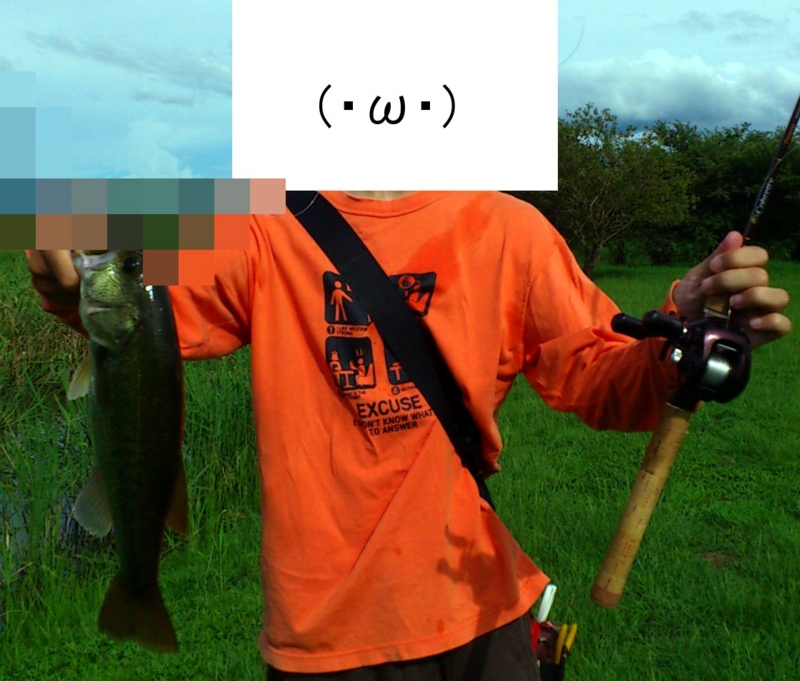 f:id:puchitenshi:20120821233747j:image f:id:puchitenshi:20120821233747j:image