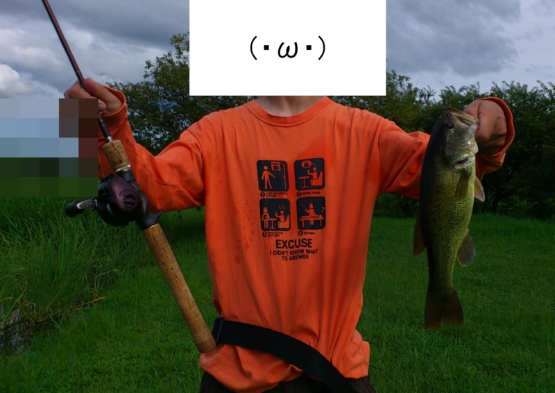 f:id:puchitenshi:20120821233808j:image f:id:puchitenshi:20120821233808j:image