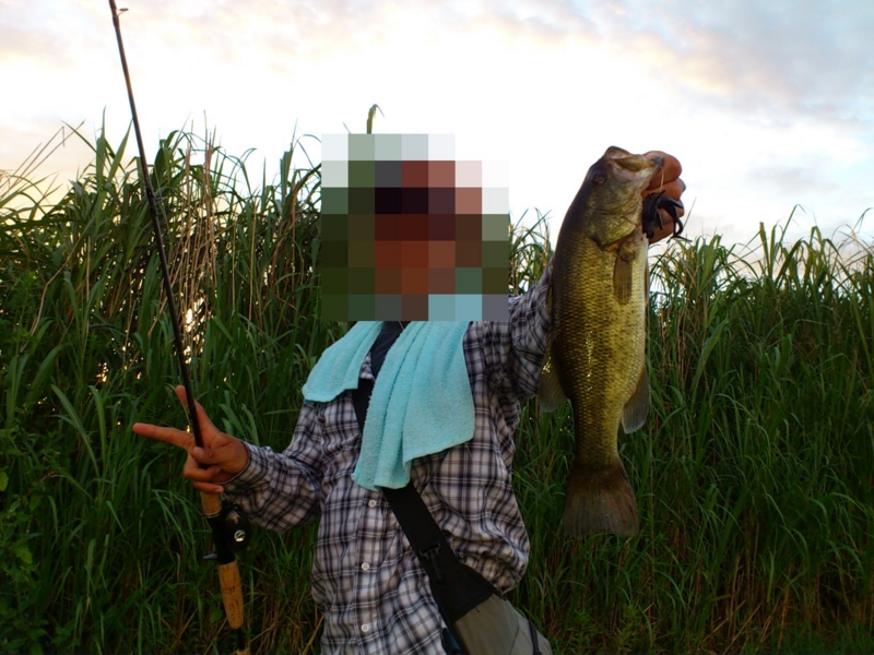 f:id:puchitenshi:20120821233831j:image f:id:puchitenshi:20120821233831j:image