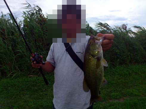 f:id:puchitenshi:20120903024547j:image