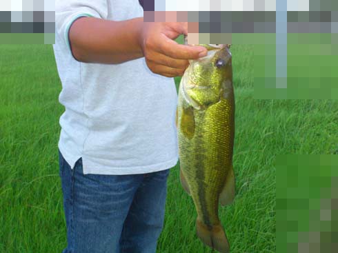 f:id:puchitenshi:20120903024618j:image